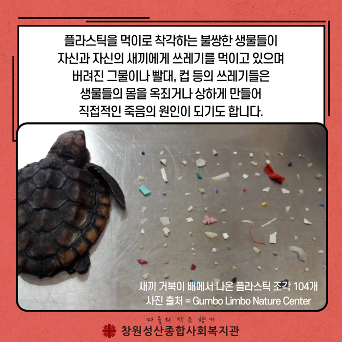 허니랩홍보-3.png