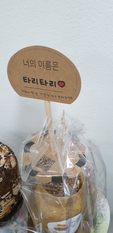 홈피5.jpg