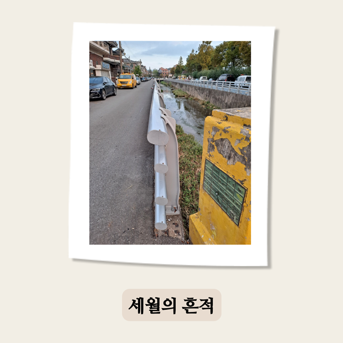 10000사진 (10).png