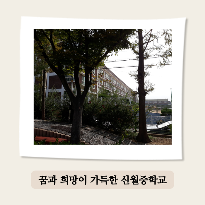 10000사진 (3).png