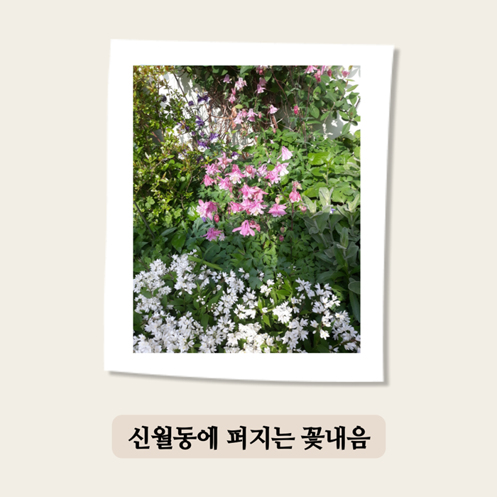 10000사진 (2).png