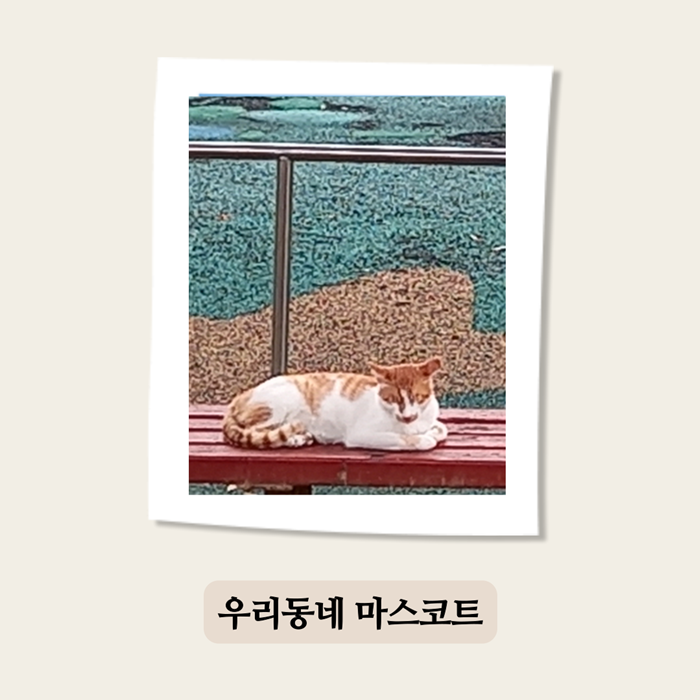 10000사진 (5).png